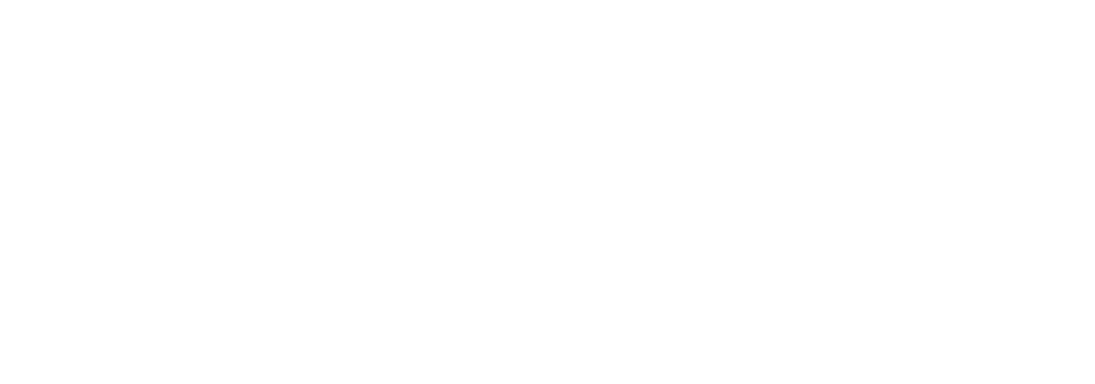 Bay Area Bed Bug White Logo