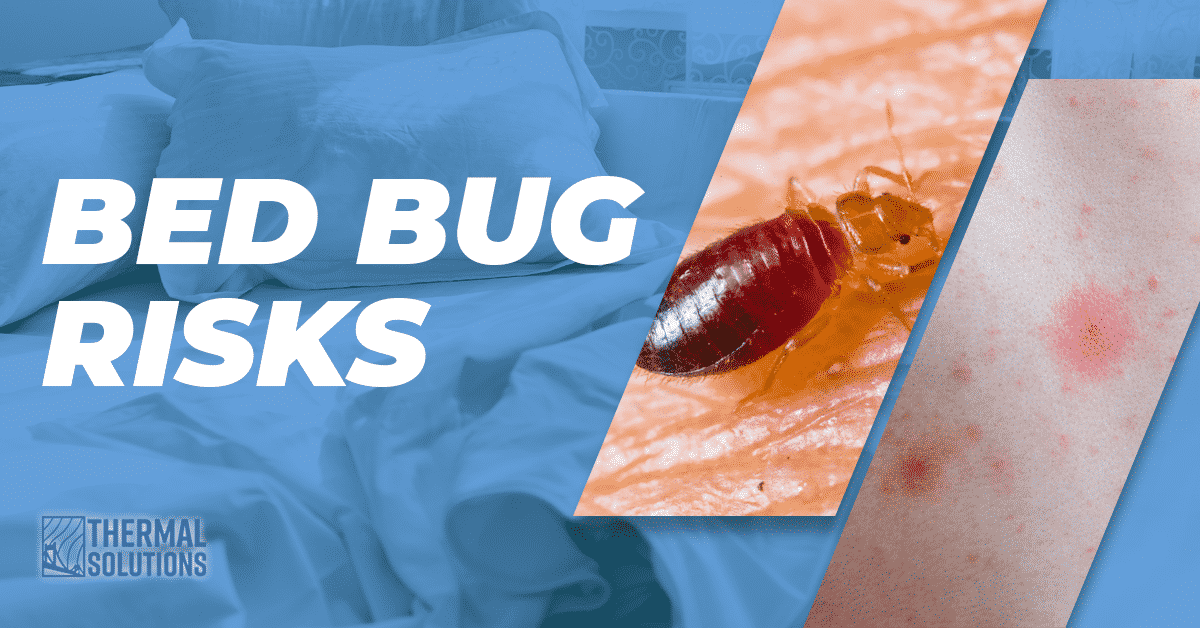 Bed Bug Risks
