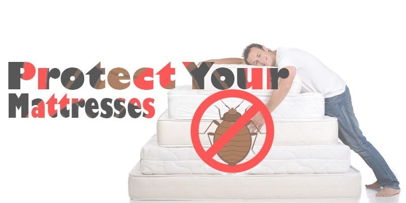 Protect your mattresses