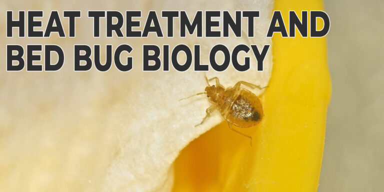 Heat Treatment and Bed Bug Biology