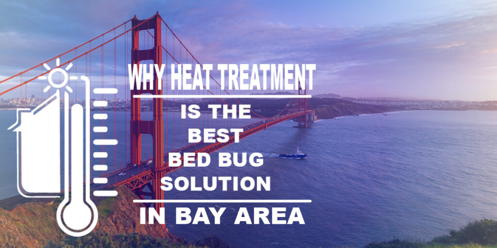 Why Heat Treatment is the Best Bed Bug Solution in Bay Area